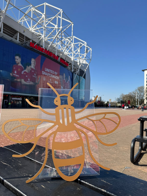 The Mini Manc'